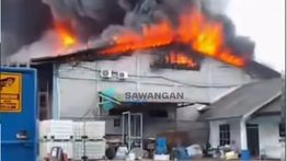 Pabrik Kasur di Bogor Kebakaran Hebat