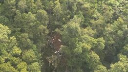 Basarnas Temukan Dugaan Serpihan Helikopter PK-CFX di Kawasan Hutan Sekadau