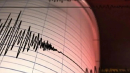PLTN Jepang Lakukan Pemeriksaan Menyeluruh Usai Gempa M 7,4