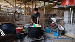 Perajin Tempe Ngawi Semringah, Produksi Naik 100 Persen Berkat Kehadiran MBG