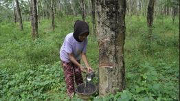 Di Usia 70 Tahun, Nenek Samini Berharap Sekolah Rakyat Jadi Jalan Cucunya Keluar dari Kemiskinan