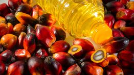 Kenaikan Energi Picu Plastik Mahal, Minyak Goreng Ikut Terimbas