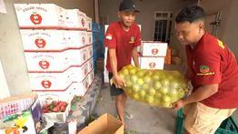 Kios Buah Laweyan, Miniatur Sempurna Dampak Keberadaan MBG: Berdayakan Petani Lokal, Angkat Ekonomi Tetangga