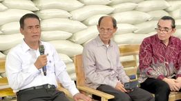 Simak! Bukti Kebijakan Pemerintah di Balik Swasembada dan Peningkatan Kesejahteraan Petani