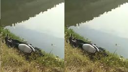 Pemotor Terjun ke Kali BKT Ditemukan Tewas Mengenaskan