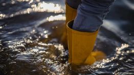 12 RT di Jaksel Terendam Banjir Usai Diguyur Hujan Deras