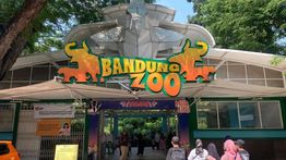 Taman Safari Indonesia Siap Ikut Lelang Pengelolaan Bandung Zoo