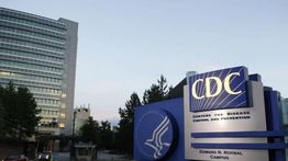 CDC Tetapkan Wabah Hantavirus di MV Hondius sebagai Respons Darurat Level 3