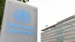 WHO Tegaskan Wabah Hantavirus di MV Hondius Bukan Awal Pandemi Baru