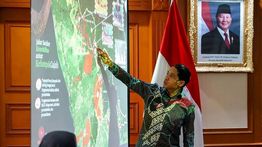 Menhut Fokus Selamatkan Habitat Gajah Sumatera dan Kalimantan
