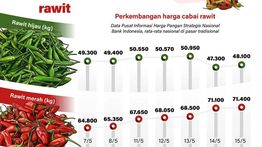 Infografik: Pemerintah Perkuat Distribusi untuk Redam Harga Cabai Rawit