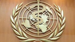 WHO Tetapkan Wabah Ebola di Kongo dan Uganda sebagai Darurat Global