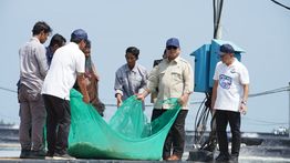 Momen Prabowo Tarik Jaring Bersama Nelayan Tambak di Kebumen