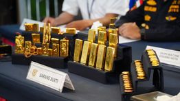 Bea Cukai Gagalkan Penyelundupan Emas Senilai Rp45,73 Miliar, Disembunyikan di Saku hingga Koper