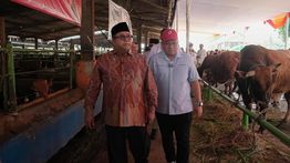 Pemprov DKI Kerahkan 744 Petugas Pengawas Kurban
