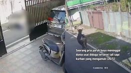Pria di Banjarmasin Tewas Diduga Terseret Sapi Kurban hingga 50 Meter