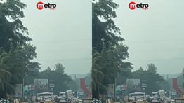Sentul Lumpuh Gegara Acara BGN Hari Ini
