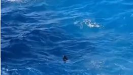 VIDEO: Wanita Tenggelam di Kawasan Wisata Apparalang