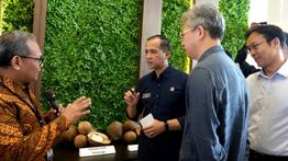 Incar Pasar Tiongkok, Hilirisasi Kelapa di Halmahera Utara Siap Serap 20 Ribu Tenaga Kerja