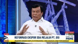 Nurdin Tampubolon Sebut Reformasi Ekspor SDA Kunci Tekan Shadow Economy