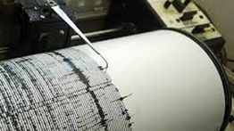 Pasca Gempa M 7,1 Venezuela, KBRI Pastikan Tak Ada WNI Jadi Korban