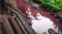 Air Kali Sadang Bekasi Mendadak Berubah Jadi Merah Darah, Warga Cikarang Barat Geger