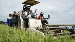 BULOG Tegaskan Penyerapan Gabah Petani Berjalan Sepanjang Tahun