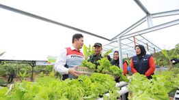 Dari Energi Bersih Hingga Peluang Usaha, Desa Energi Berdikari Perkuat Ekonomi Masyarakat Desa