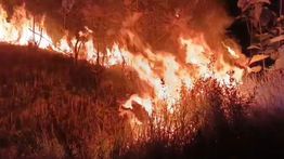 Kebakaran Hutan di Prancis Meluas, 12 Ribu Warga Dievakuasi