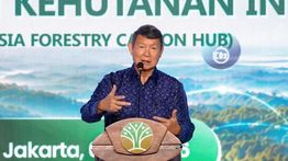 Hashim: Pasar Karbon di Indonesia Dukung Penurunan Emisi Nasional