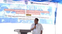 Freeport dan KLH Perkuat Rehabilitasi Mangrove Nasional, Rampungkan Penanaman 1,5 Juta Bibit di NTB