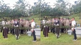 Viral, Aparat Pemkot di Bukittinggi Diduga Hajar Dosen Universitas Fort De Kock Hingga Masuk RS