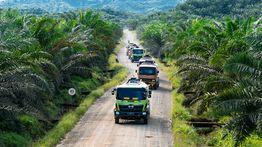 Indonesia Diminta Tak Hanya Jadi Produsen, Tapi Pusat Hilirisasi Sawit Global