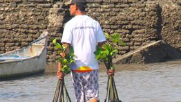 Hari Mangrove Sedunia Jadi Momentum BNI Perkuat Komitmen Pelestarian Lingkungan dan Ekonomi Pesisir