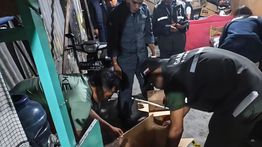 Kemenhut Bongkar Perdagangan Satwa Dilindungi Lewat Facebook, Tujuh Burung Disita