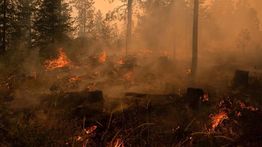 Puluhan Ribu Warga Dievakuasi Saat Kebakaran Hutan di Washington