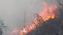 TNBTS Tutup Tiga Jalur Wisata Gunung Bromo akibat Kebakaran Hutan
