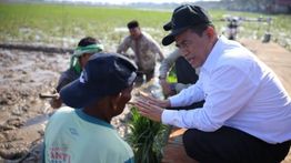Pemerintah Aceh Jelaskan Penyaluran Bantuan Kementan untuk Sawah dan Kebun Pascabencana