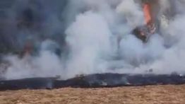 Jalur Pendakian Gunung Gede Pangrango Ditutup hingga 11 Agustus Gegara Kebakaran