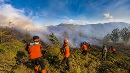 BPBD Lumajang Kerahkan Tim Reaksi Cepat Tangani Karhutla di Bromo