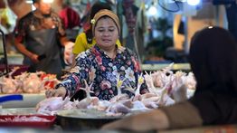 BPS Minta Pemda Waspadai Kenaikan Harga Daging Ayam Ras