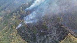BNPB Laporkan Kebakaran Hutan dan Lahan Melanda 10 Provinsi