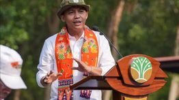 Peringati HKAN 2026, Menhut Luncurkan Gerakan Pemulihan Hutan dan Ekosistem