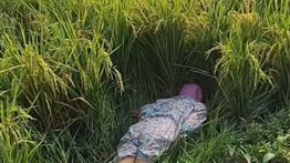 Jasad Wanita Misterius Gegerkan Warga Karawang, Ditemukan Terkapar di Persawahan