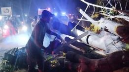 7 Warga Pidie Tewas Tertimpa Pohon Tumbang