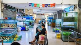 PWI-APIC Gelar Edukasi Ikan Air Tawar untuk Pelajar Jakbar
