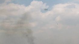 Menhut Sebut Dukungan BNPB Perkuat Penanganan Karhutla Saat El Nino