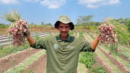 Mengubah Kemarau Menjadi Harapan, Pertamina Dampingi Petani Boyolali Bangkit dan Lebih Sejahtera
