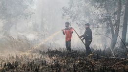 BNPB Deteksi 1.487 Titik Panas Karhutla di Kalimantan