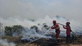 Atasi Karhutla Sumsel, Kemenhut Tambah Pasukan dan Pemadaman Udara